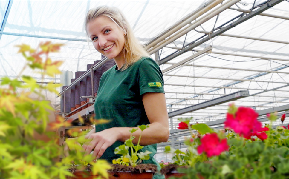 Jetzt bewerben - Komm in unser Team!