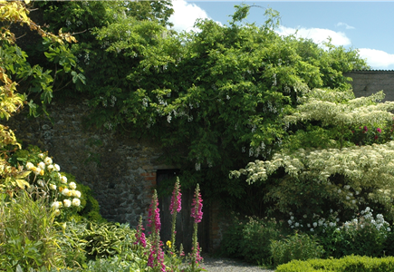 Garten- und Landschaftsbau