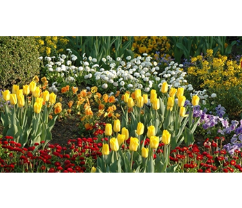 EINE TüTE VOLL FRüHLING!