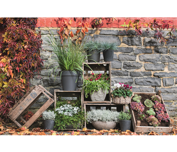 WIR SIND FEUER & FLAMME! 