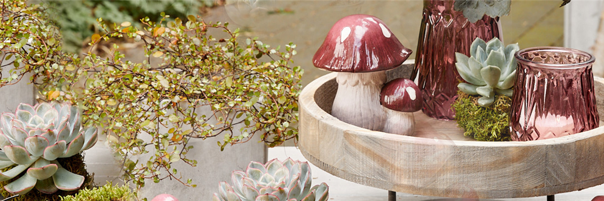 Header_Herbstdeko1930x500 Header_Herbstdeko1930x500