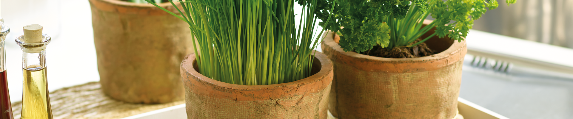 MIT VIEL GESCHMACK UND RAFFINESSE! 