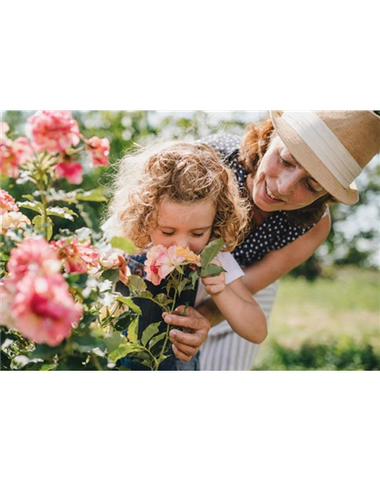 VOLLE BLüTE, VOLLER DUFT!