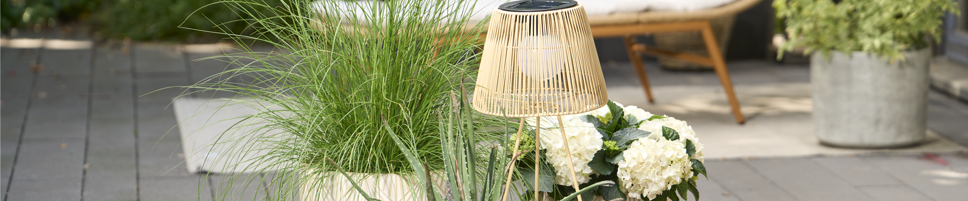 OASE DER ENTSPANNUNG!