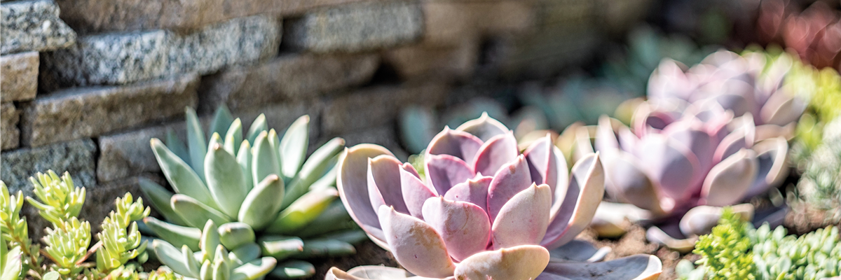 PFLEGELEICHT & ZEITLOS SCHöN! 