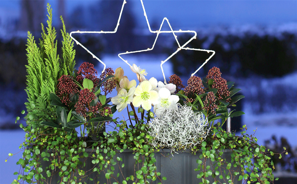 BEET UND BALKON - Winterzeit bei Sauter!