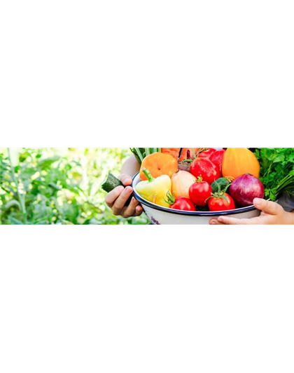 Buch des Monats: April!