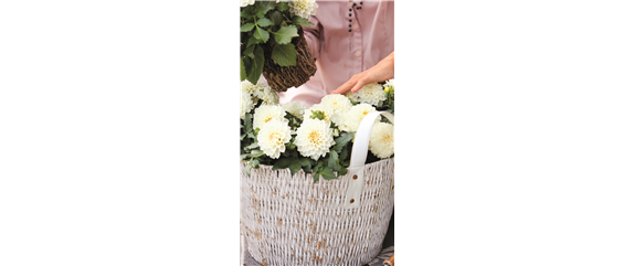 URLAUB AUF DEM BALKON! 