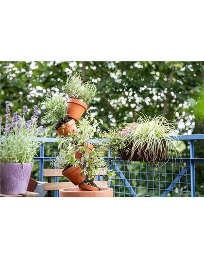 HEILKRäUTER FüR DIE GESUNDHEIT