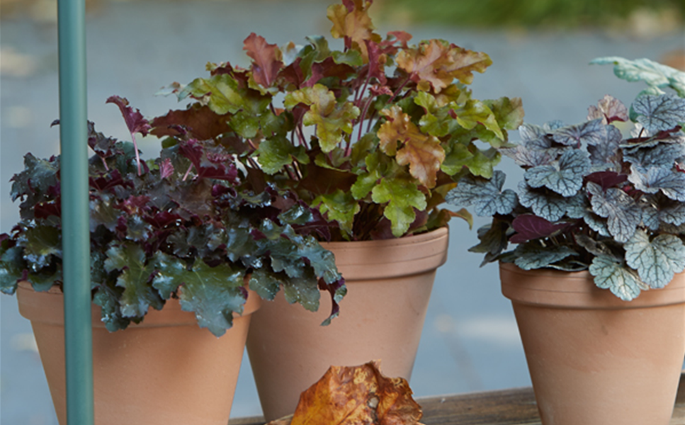 Saisonerlebnis - Ideen für drinnen und draußen Saisonerlebnis - Ideen für drinnen und draußen