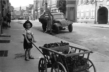 Die Geschichte Die Geschichte