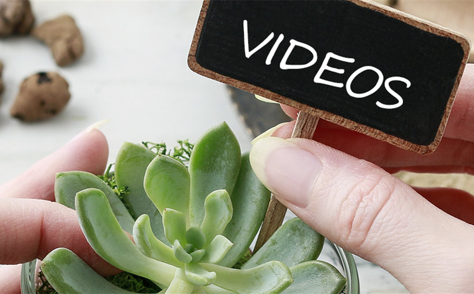 VIDEOS - TIPPS UND TRICKS! VIDEOS - TIPPS UND TRICKS!