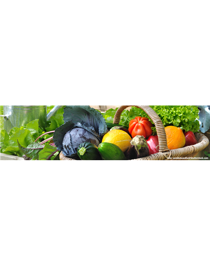 Gemüse und Selbstversorgung