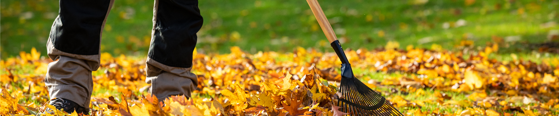 Gartengeräte - Mann harkt Laub