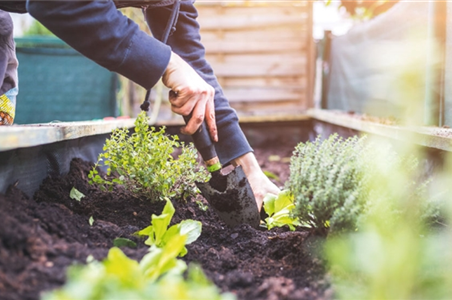 EIN HOCH AUF'S HOCHBEET! 