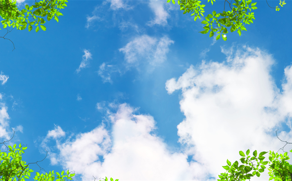 Nachhaltigkeit - Klimaschutz an erster Stelle