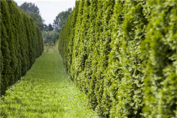 AUSGEHECKT! AUSGEHECKT!