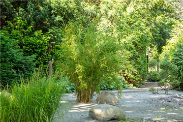 Garten- und Landschaftsbau Garten- und Landschaftsbau